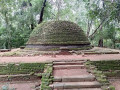 jathika-namal-uyana-a-unique-biodiversity-sanctuary-small-1