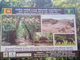 Jathika Namal Uyana: A Unique Biodiversity Sanctuary