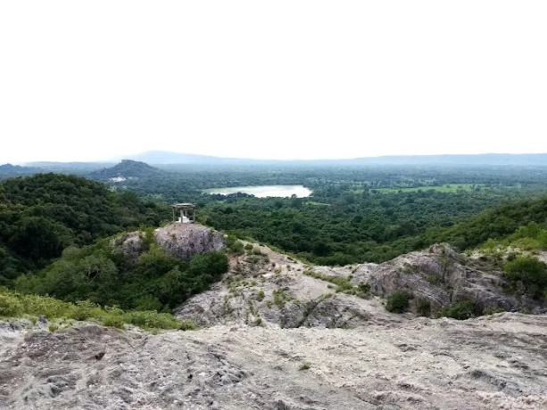 jathika-namal-uyana-a-unique-biodiversity-sanctuary-big-4