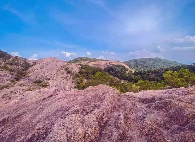 jathika-namal-uyana-a-unique-biodiversity-sanctuary-big-3