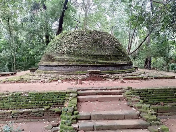 jathika-namal-uyana-a-unique-biodiversity-sanctuary-big-1