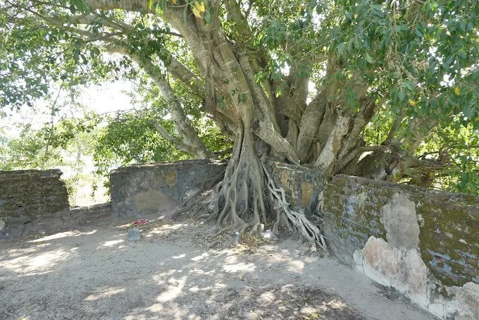 ruins-of-poonakary-fort-a-historical-landmark-of-heritage-big-3