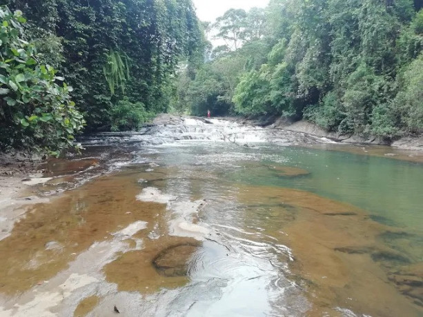 dumpus-ella-a-hidden-gem-of-natures-beauty-big-0