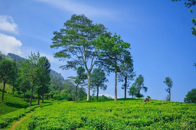 conquering-the-majestic-kabaragala-peak-big-1