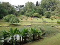 discovering-the-splendor-of-the-royal-botanical-gardens-small-0