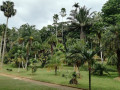 discovering-the-splendor-of-the-royal-botanical-gardens-small-4