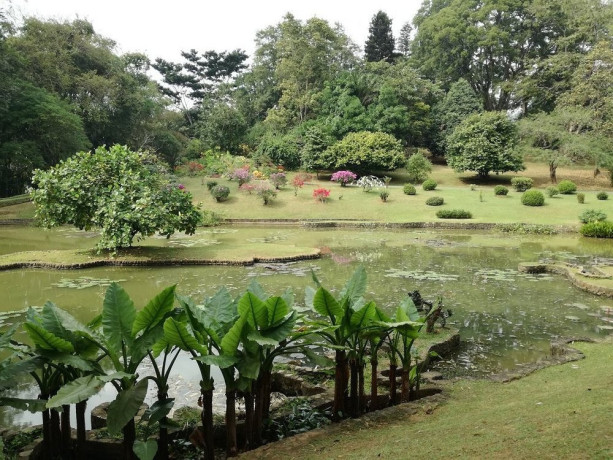 discovering-the-splendor-of-the-royal-botanical-gardens-big-0