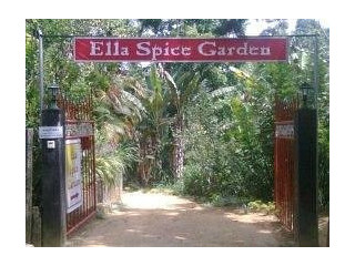 Experience Authentic Flavors at Ella Spice Garden Cooking Class