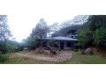 enjoy-in-sir-johns-bungalow-matale-small-3