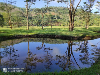 Exploring the Tranquility of Seethawaka Wet Zone Botanic Gardens