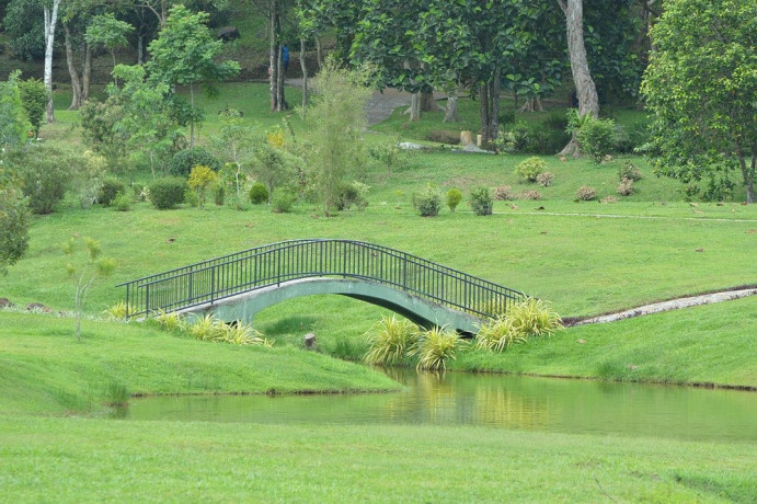 exploring-the-tranquility-of-seethawaka-wet-zone-botanic-gardens-big-4