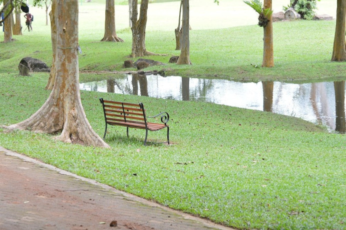 exploring-the-tranquility-of-seethawaka-wet-zone-botanic-gardens-big-3