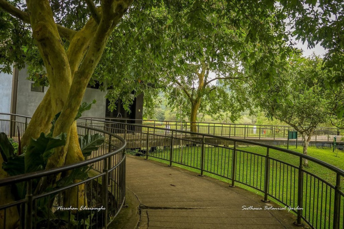 exploring-the-tranquility-of-seethawaka-wet-zone-botanic-gardens-big-1