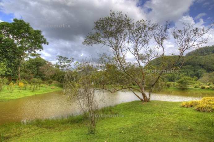 exploring-the-tranquility-of-seethawaka-wet-zone-botanic-gardens-big-2