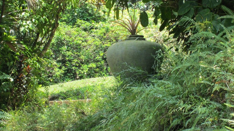 discover-the-artistic-serenity-of-brief-garden-bevis-bawa-big-3