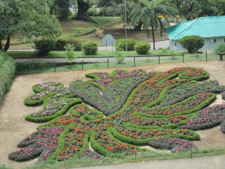 Discover the Beauty of Hakgala Botanic Gardens