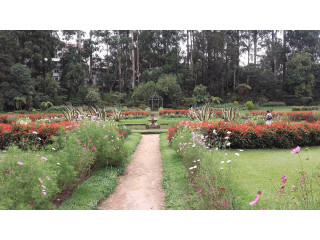 Experience the Tranquility of Victoria Park in Nuwara Eliya