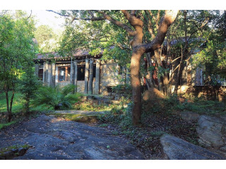 Explore the Natural Beauty of Popham's Arboretum