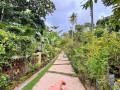 discover-the-tranquility-of-ceylon-kingsmen-garden-small-1