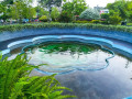 explore-the-serenity-of-urban-wetland-park-small-3