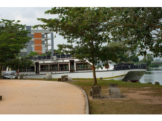 Explore the Serenity of Urban Wetland Park