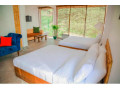 enjoy-in-queenmarry-cottages-nuwara-eliya-small-1