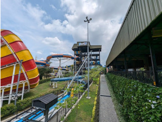 Pearl Bay Amusement Park: A Thrilling Adventure Awaits