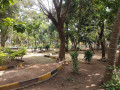 explore-dr-subramaniam-childrens-park-a-fun-filled-haven-for-kids-small-3