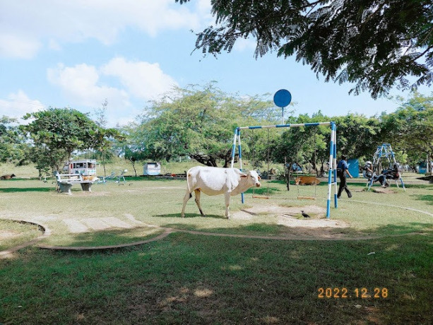 enjoy-nature-and-recreation-at-pannai-park-jaffna-big-3