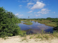 discover-the-wonders-of-nature-at-chundikulam-bird-sanctuary-small-2