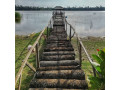 discover-the-wonders-of-nature-at-chundikulam-bird-sanctuary-small-4