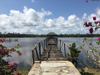 Discover the Wonders of Nature at Chundikulam Bird Sanctuary