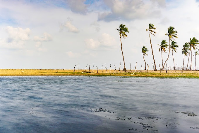 discover-the-wonders-of-nature-at-chundikulam-bird-sanctuary-big-3