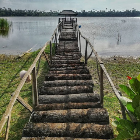 discover-the-wonders-of-nature-at-chundikulam-bird-sanctuary-big-4