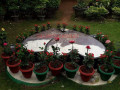 explore-nature-and-beauty-at-palamuthirsolai-park-plant-nursery-small-0