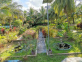 explore-nature-and-beauty-at-palamuthirsolai-park-plant-nursery-small-4