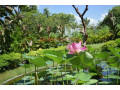 explore-nature-and-beauty-at-palamuthirsolai-park-plant-nursery-small-1