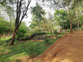 pgb-kalugalla-park-a-nature-lovers-paradise-small-2