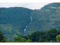galdola-ella-falls-a-majestic-cascade-in-natures-embrace-small-2