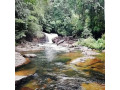 galdola-ella-falls-a-majestic-cascade-in-natures-embrace-small-1