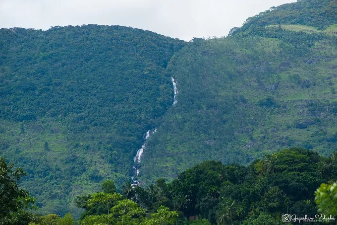 galdola-ella-falls-a-majestic-cascade-in-natures-embrace-big-2