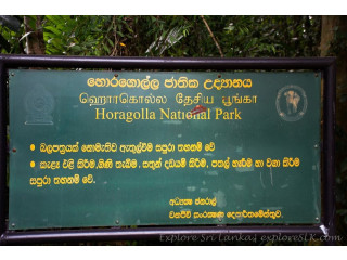 Horagolla National Park: A Sanctuary of Biodiversity