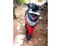 oshel-tours-and-rent-a-bike-small-0