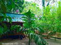 npk-bambarakanda-forest-inn-villa-a-tranquil-retreat-in-natures-heart-small-0