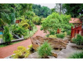 uma-garden-kandegedara-a-peaceful-haven-amidst-nature-small-2