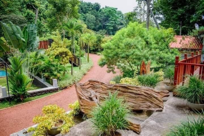 uma-garden-kandegedara-a-peaceful-haven-amidst-nature-big-2