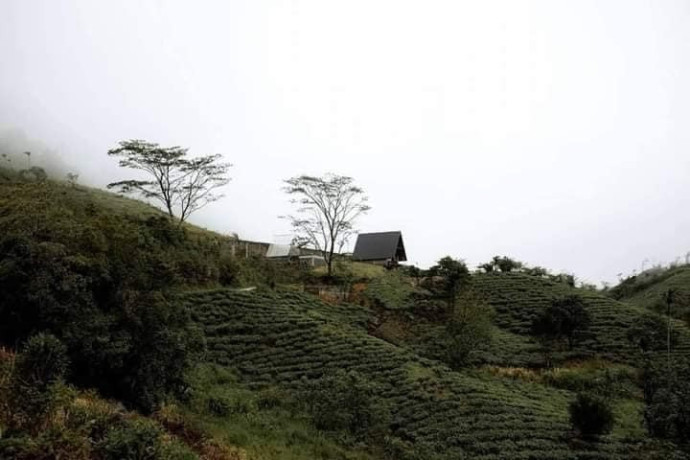 butterfly-top-resort-balangoda-a-scenic-getaway-above-the-clouds-big-2