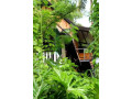 immerse-in-nature-at-hornbill-river-camp-udawalawe-small-1