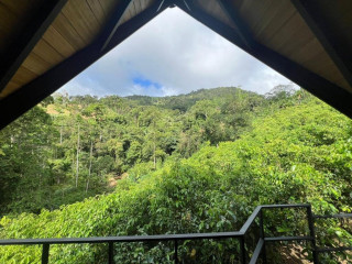 Cannelle Hill Cabanas in Deniyaya