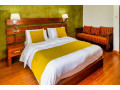 stay-in-the-middle-of-a-beautiful-tea-estate-nuwara-eliya-villa-small-3